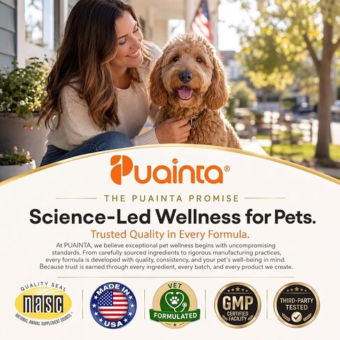 PUAINTA Calming Chews for Dogs & Cats with Magnesium Glycinate in Kuwait