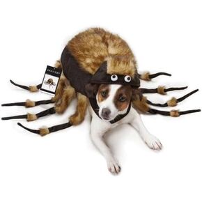 Zack & Zoey Fuzzy Tarantula Costume for Dogs, 8" X-Small in Kuwait