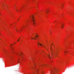 Soarer Colorful Turkey Feathers Bulk for Crafting Supplies,300Pcs,3-5inch in Kuwait