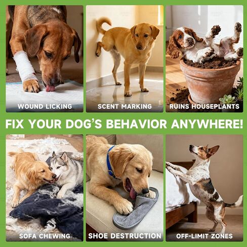 BUGAZOOM‌ Bitter Dog No Chew Spray, Dog Training Aid for Furniture & Carpet, Puppy Corrector & Behavior Spray for Dogs & Puppies, Discourage Peeing, Biting, Chewing & Licking Injuries in Saudi Arabia