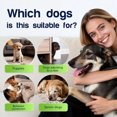 QHZ Potty Training Spray for Dogs and Puppies, Go Here Training Aid and Dont Pee Here Spray, Dual Dog Training Solution for Indoor Outdoor Use, Puppy Training Aid No Pee Indoor Deterrent in Saudi Arabia