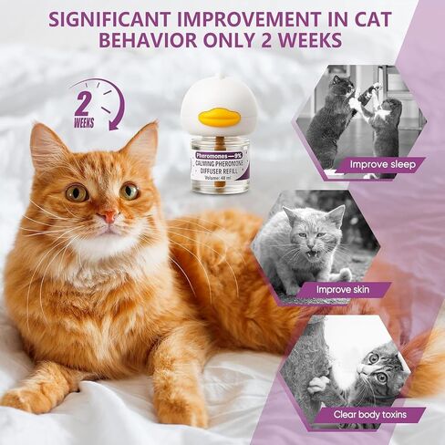 Cat Pheromones Calming Diffuser, Cat Calming Plug In Pheromone Diffuser Starter Kit with 2 Diffusers + 4 Refills - Relieve Anxiety, 120 Days Starter Kit Long-Lasting Stress Relief for Cats (Purple) in Kuwait