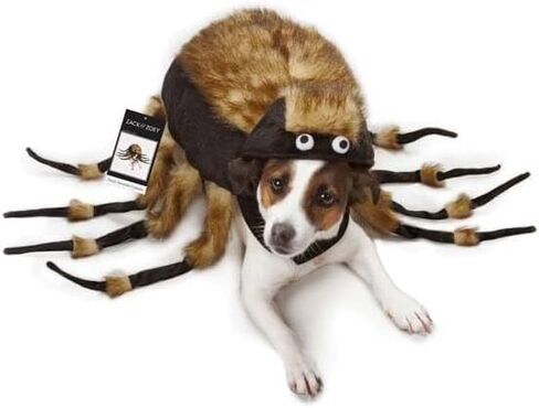 Zack & Zoey Fuzzy Tarantula Costume for Dogs, 8" X-Small in Kuwait