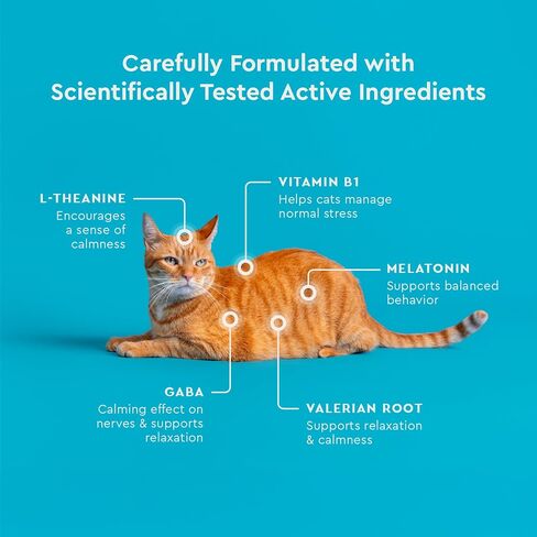 VetIQ Cat Calming Treats, Melatonin & Ashwagandha, 3.7oz in Saudi Arabia