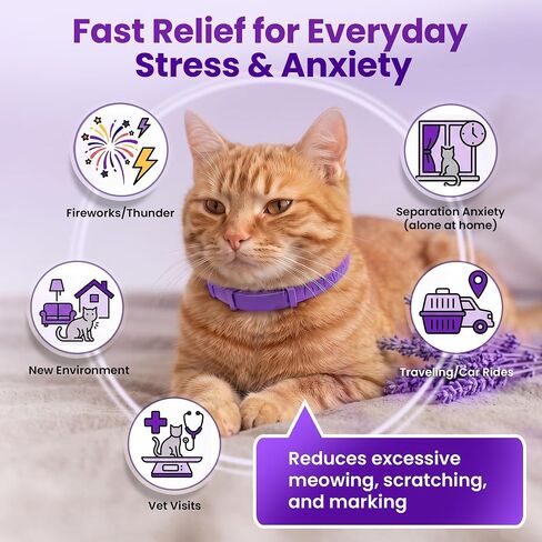 Cat Calming Collar, 4 Pack – 30 Day Pheromone Calming Collars for Cats, Anxiety & Stress Relief, Lavender-Free, Adjustable Breakaway Collar for Travel, Noise & Separation in Kuwait