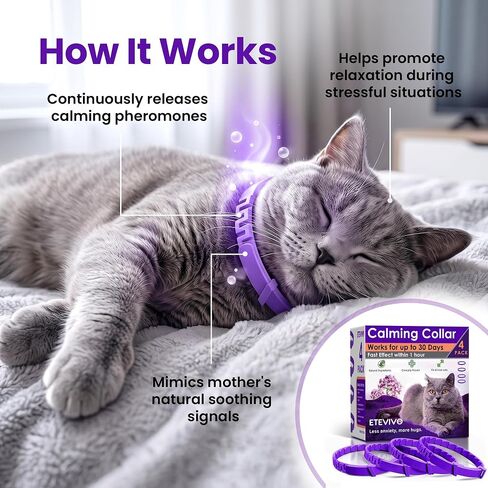 Cat Calming Collar, 4 Pack – 30 Day Pheromone Calming Collars for Cats, Anxiety & Stress Relief, Lavender-Free, Adjustable Breakaway Collar for Travel, Noise & Separation in Kuwait