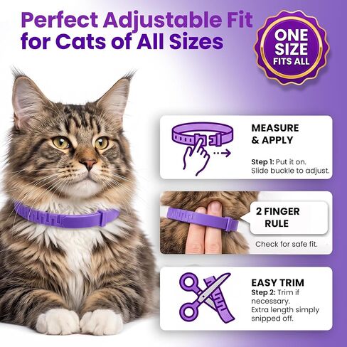 Cat Calming Collar, 4 Pack – 30 Day Pheromone Calming Collars for Cats, Anxiety & Stress Relief, Lavender-Free, Adjustable Breakaway Collar for Travel, Noise & Separation in Kuwait