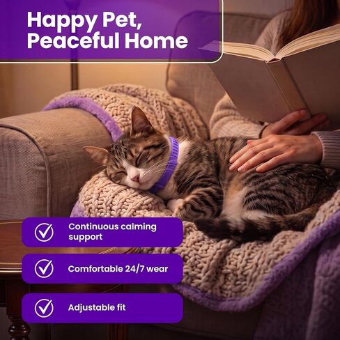 Cat Calming Collar, 4 Pack – 30 Day Pheromone Calming Collars for Cats, Anxiety & Stress Relief, Lavender-Free, Adjustable Breakaway Collar for Travel, Noise & Separation in Kuwait