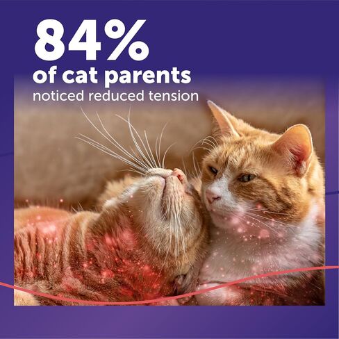 FELIWAY MultiCat Cat Calming Diffuser Kit and 1 Pack Refill – Helps Reduce Fighting, Tension and Aggression Between Cats Due to Stress – 30‑Day Cat Pheromone Plug in Diffuser for Multi‑Cat Homes in Saudi Arabia