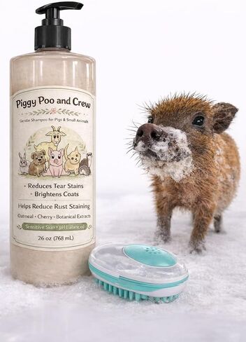 Pet Shampoo and Shampoo Scrub Brush (Oatmeal Cherry) - for Pigs Dogs and Other Small Animals in Kuwait