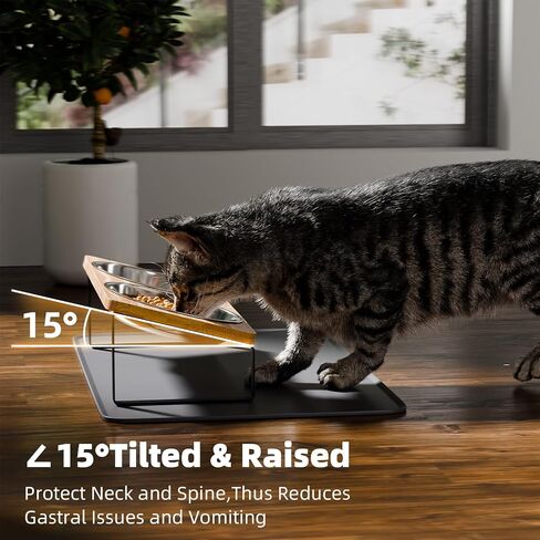 Elevated Whisker Friendly Cat Bowls, 15 Tilted Stand Anti Vomiting Raised Dishes for Food and Water, Stainless Steel Bowls for Cats and Puppy in Kuwait