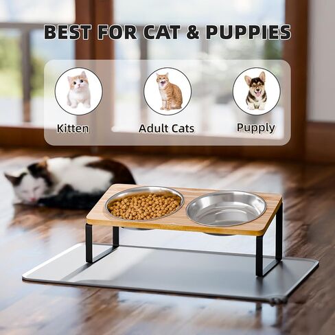 Elevated Whisker Friendly Cat Bowls, 15 Tilted Stand Anti Vomiting Raised Dishes for Food and Water, Stainless Steel Bowls for Cats and Puppy in Kuwait