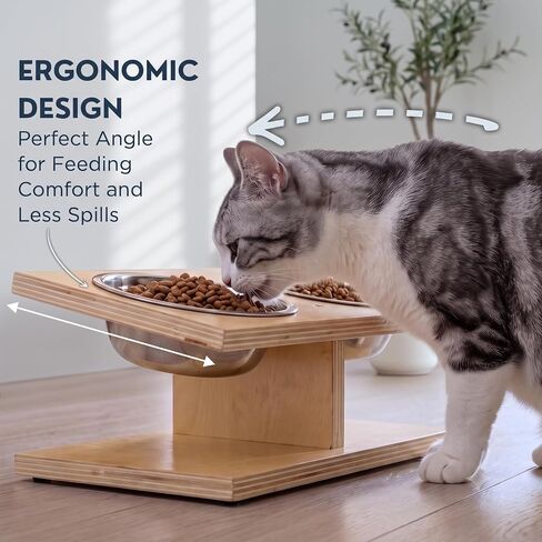 INICIO Elevated Cat Bowls, Raised Cat Food Stand, x2 Stainless Steel Bowls in Kuwait