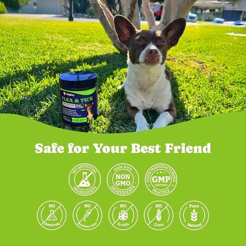 Flea & Tick Prevention for Dogs Chewables,Oral Flea Pills, Dogs Supplement in Kuwait