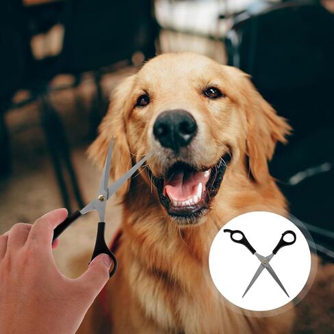 5pcs PET Straight Grooming Scissors with Ergonomic Handle in Kuwait