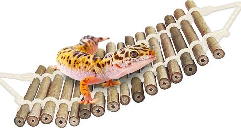 SunGrow Bamboo Gecko Reptile Climbing Bridge and Lizard Lounge, 18" Swinging Hideout Bridge, Helps Leopard Geckos with Thermoregulation, Increases Habitat Space, Can Be Submerged in Water in Kuwait