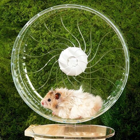 Silent Hamster Wheel, 10.2 Inch, Adjustable Stand, Clear in Saudi Arabia