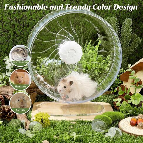 Silent Hamster Wheel, 10.2 Inch, Adjustable Stand, Clear in Saudi Arabia