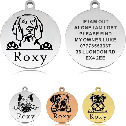 Dog Tags Personalized for Pets Dog Name Tags Personalized Custom Dog Tag Stainless Steel Dog ID Tags for Puppy Dogs (Silver L, Round) in Saudi Arabia