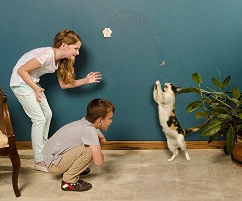 CAT DANCER Deluxe 252 Cat Toy, Medium Breeds in Saudi Arabia