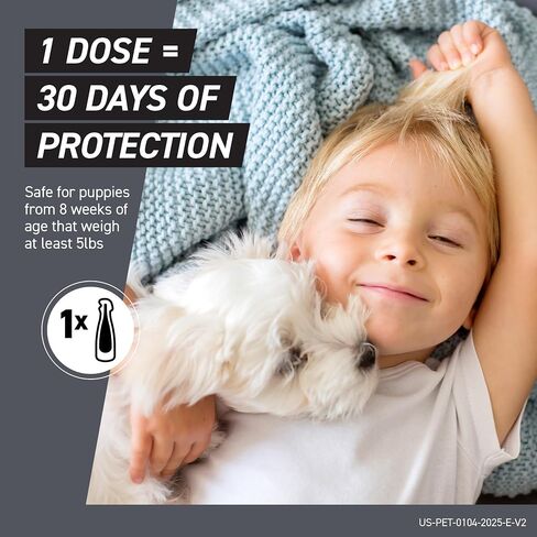 FRONTLINE Shield Flea & Tick Treatment for X-Small Dogs 5-10 lbs., Count of 3 in Kuwait