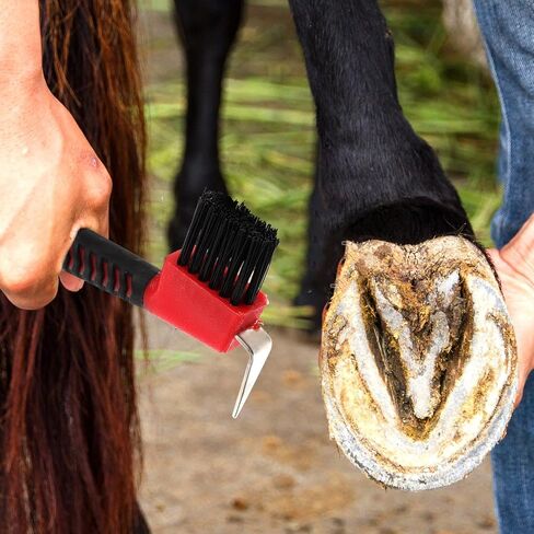 Horse Hoof Pick with Nylon Brush and Rubberized Stainless Steel Grip in Saudi Arabia