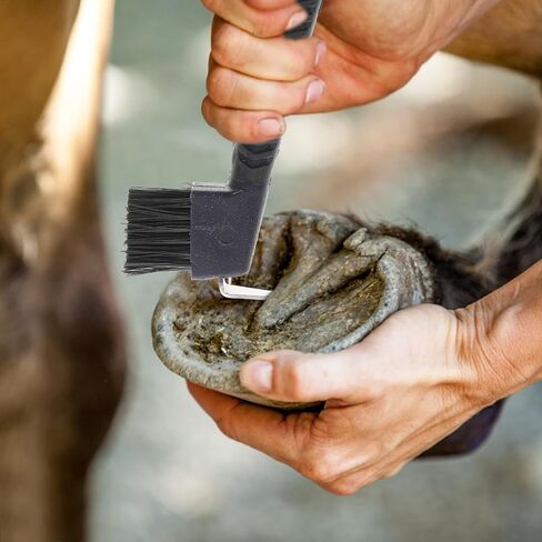 Horse Hoof Pick with Brush, Rubber Handle, Stainless Steel Grooming Tool in Kuwait