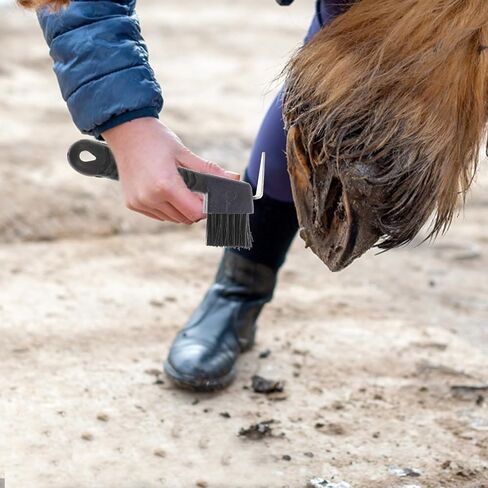 Horse Hoof Pick with Brush, Stainless Steel Metal Pick Rubberized Grip in Kuwait
