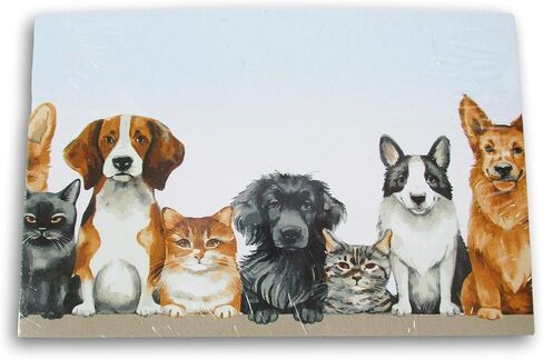 Making the Grade Gift Enclosure Cards - 3.5 x 2.25 Inch - 50 Pack (Dogs and Cats) in Kuwait