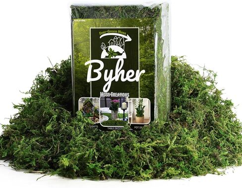 BYHER 16OZ Bulk Artificial Moss for Plants Indoor - Realistic Green Moss for Crafts, Fairy Garden Decor, Potted Plants, Olive Trees Artificial Indoor, Wedding Centerpieces, Fresh Green Faux Grass in Saudi Arabia