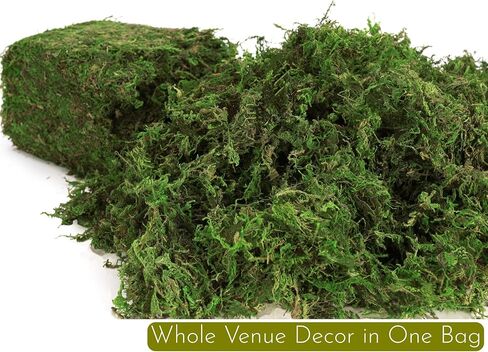 BYHER 16OZ Bulk Artificial Moss for Plants Indoor - Realistic Green Moss for Crafts, Fairy Garden Decor, Potted Plants, Olive Trees Artificial Indoor, Wedding Centerpieces, Fresh Green Faux Grass in Saudi Arabia