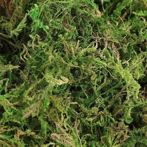 BYHER 16OZ Bulk Artificial Moss for Plants Indoor - Realistic Green Moss for Crafts, Fairy Garden Decor, Potted Plants, Olive Trees Artificial Indoor, Wedding Centerpieces, Fresh Green Faux Grass in Saudi Arabia
