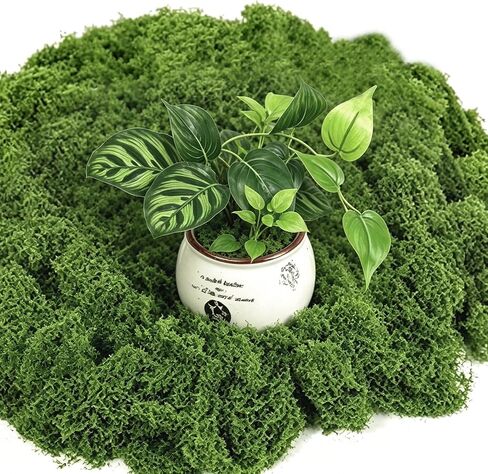 10.6OZ Fake Green Moss for Planters Outdoor Indoor Decorating in Kuwait