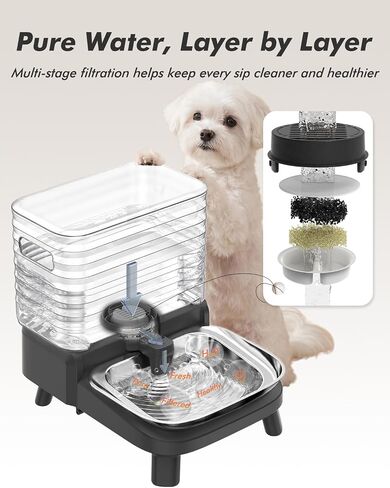 Water Bowl Dispenser for Medium & Small Dogs with Patent Faucet, 3.2 Gallon in Saudi Arabia