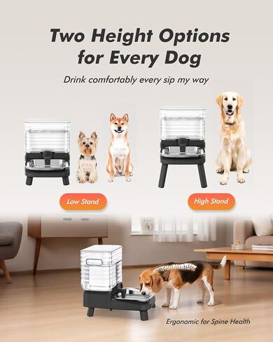 Water Bowl Dispenser for Medium & Small Dogs with Patent Faucet, 3.2 Gallon in Saudi Arabia