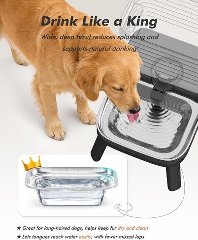 Water Bowl Dispenser for Medium & Small Dogs with Patent Faucet, 3.2 Gallon in Saudi Arabia