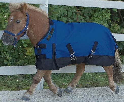 Mini/Pony 1200 Denier Adjustable Neck Waterproof Turnout Sheet in Saudi Arabia