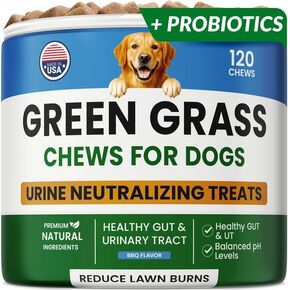 PAWFECTCHEW Coprophagia Deterrent for Dogs & Breath Aid Support in Kuwait