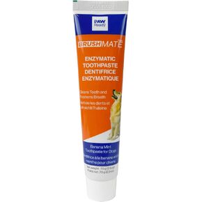 Paw Ready Enzymatic Toothpaste for Dogs, Banana Mint in Kuwait