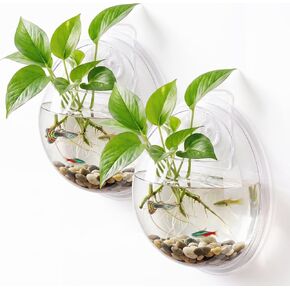 1 Pack Acrylic Wall Hanging Fish Bowl 9 Inch Fish Tank Planter in Kuwait