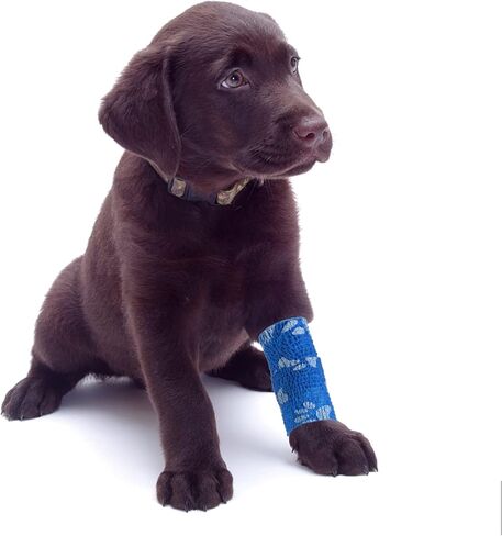 Pet Vet Wrap for Dogs Self Adhesive Bandage Wrap for Horse Cat Wound Care Cohesive Bandages Self Adherent Elastic Bandage Sports Tapes First Aid Tape 6 Rolls 2 inch in Kuwait