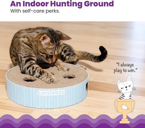 Catstages Scratch N' Hunt Interactive Cat Puzzle Toy with Scratcher, 11" in Saudi Arabia