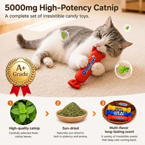 Gochanmon Cat Toys Candy Pillows,4 Pack, Catnip Inside,Soft and Durable Kick Sticks with Crinkle Sound, Interactive Indoor Kitten Play and Exercise Toy 7.9 Inches in Kuwait