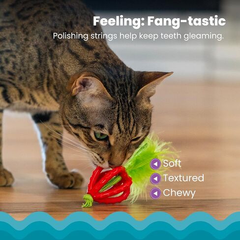 Catstages Dental Strawberry Teether Cat Chew Toy with Catnip, 4" in Saudi Arabia