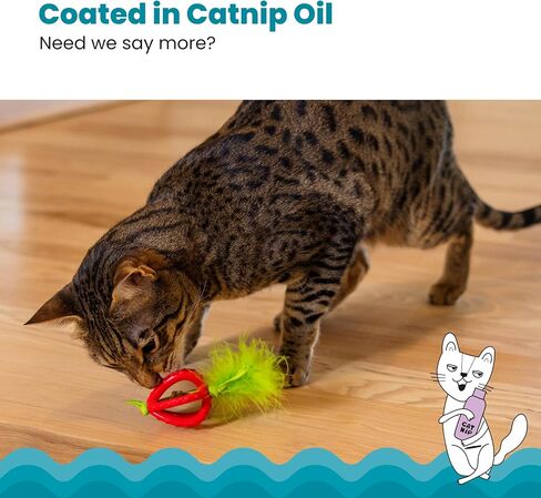 Catstages Dental Strawberry Teether Cat Chew Toy with Catnip, 4" in Saudi Arabia