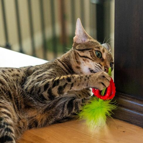 Catstages Dental Strawberry Teether Cat Chew Toy with Catnip, 4" in Saudi Arabia