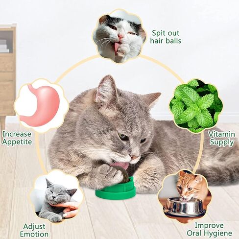 3 Pack Catnip Balls, Catnip Ball for Cats Wall, Edible Kitty Toys for Cats Lick, Safe Healthy Kitten Chew Toys, Teeth Cleaning Dental Cat Toys, Cat Wall Treats (1, Green) in Saudi Arabia