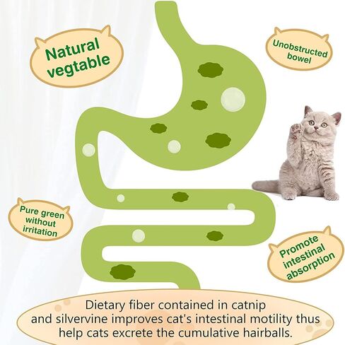 3 Pack Catnip Balls, Catnip Ball for Cats Wall, Edible Kitty Toys for Cats Lick, Safe Healthy Kitten Chew Toys, Teeth Cleaning Dental Cat Toys, Cat Wall Treats (1, Green) in Saudi Arabia