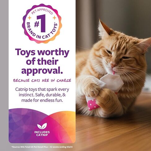 SmartyKat (2 Count Tea Teazers Catnip Cat Toys - Pink/Orange, 2 Count in Saudi Arabia