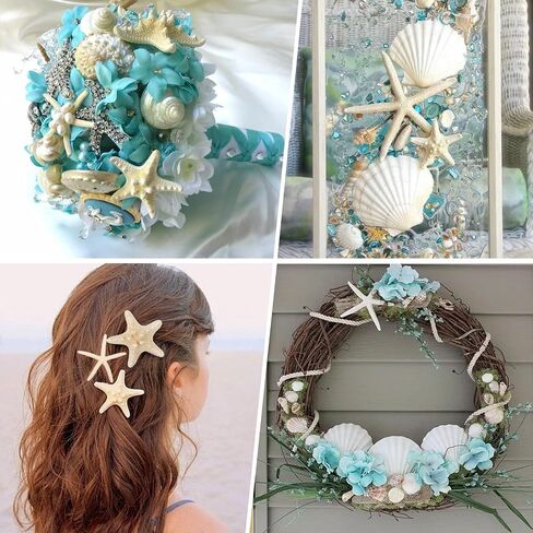 JQAQJU 12PCS Large Starfish and Scallop Shells for Crafts 3-4Inch Seashells in Saudi Arabia